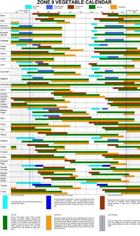 zone 9a spring planting guide